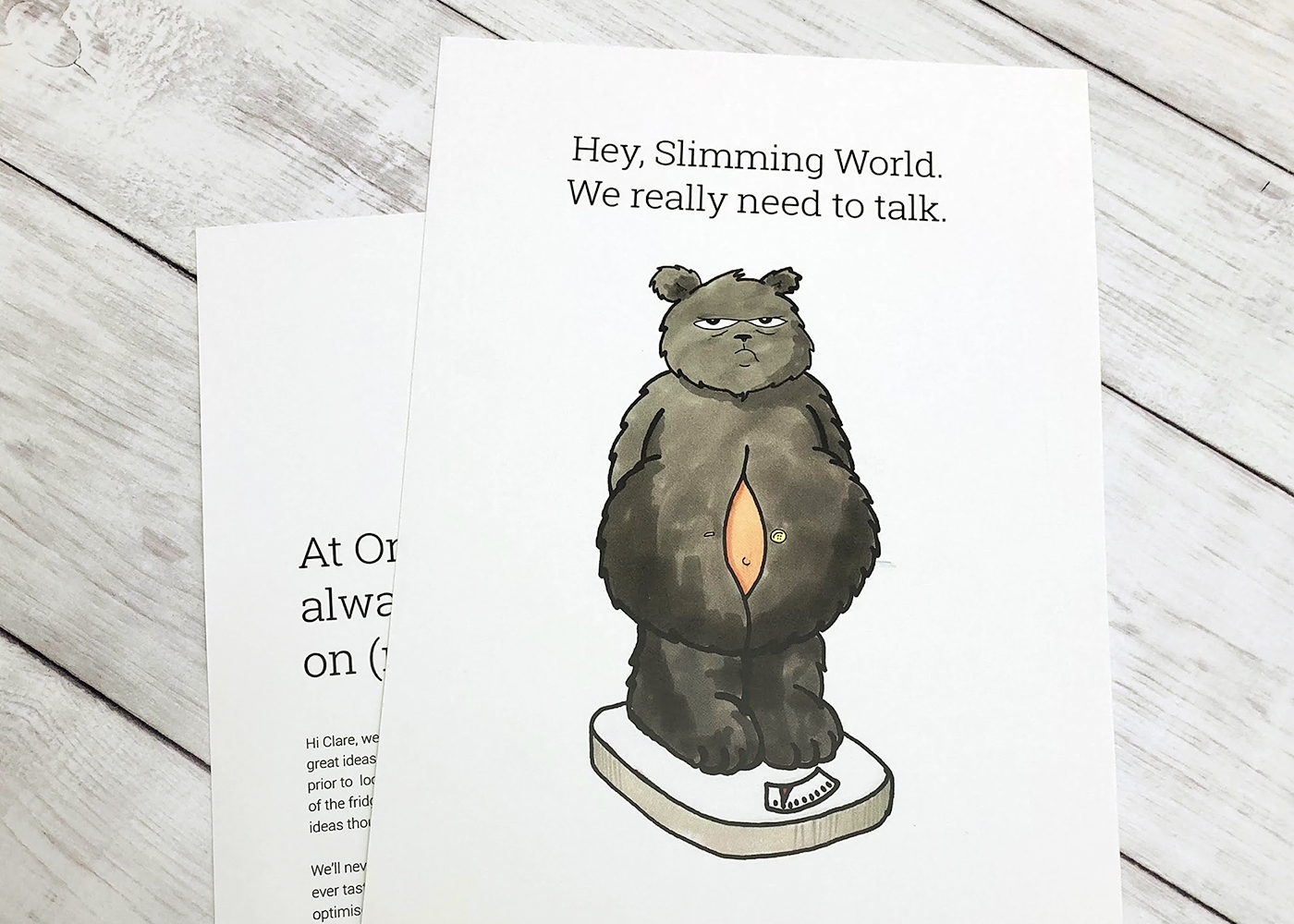Bear Marketing Leaflet
